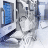 Cybersquatting, fenomeno in costante crescita