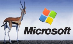 Microsoft Gazelle: un browser ancora tutto da scoprire Microsoft Gazelle: un browser ancora tutto da scoprire