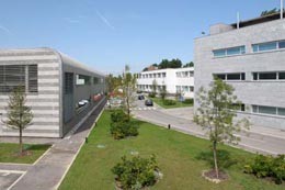 Fastweb, 300Mbit alle imprese veneziane