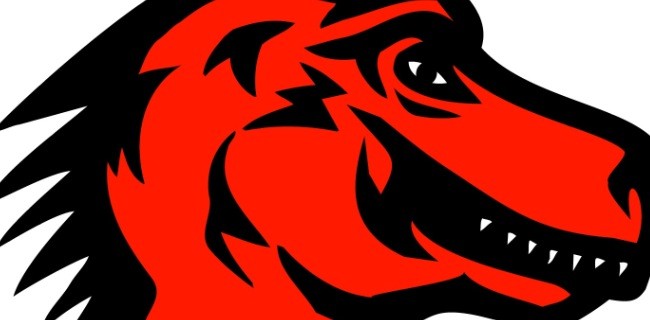Mozilla presenta il bilancio 2011