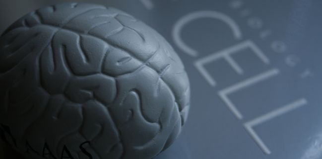 USA, il cervello come sistema di controllo USA, il cervello come sistema di controllo