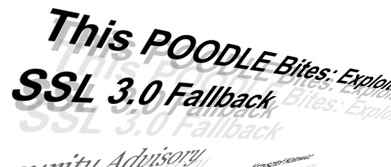 PODDLE: grave vulnerabilità in SSL 3.0 PODDLE: grave vulnerabilità in SSL 3.0