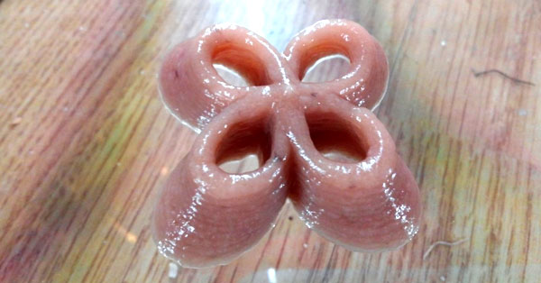Il risultato della stampa 3D realizzata con la polpa di banana