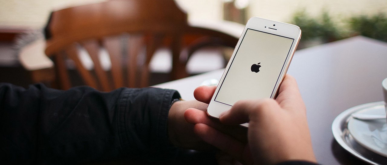 iPhone SE, online le prime custodie