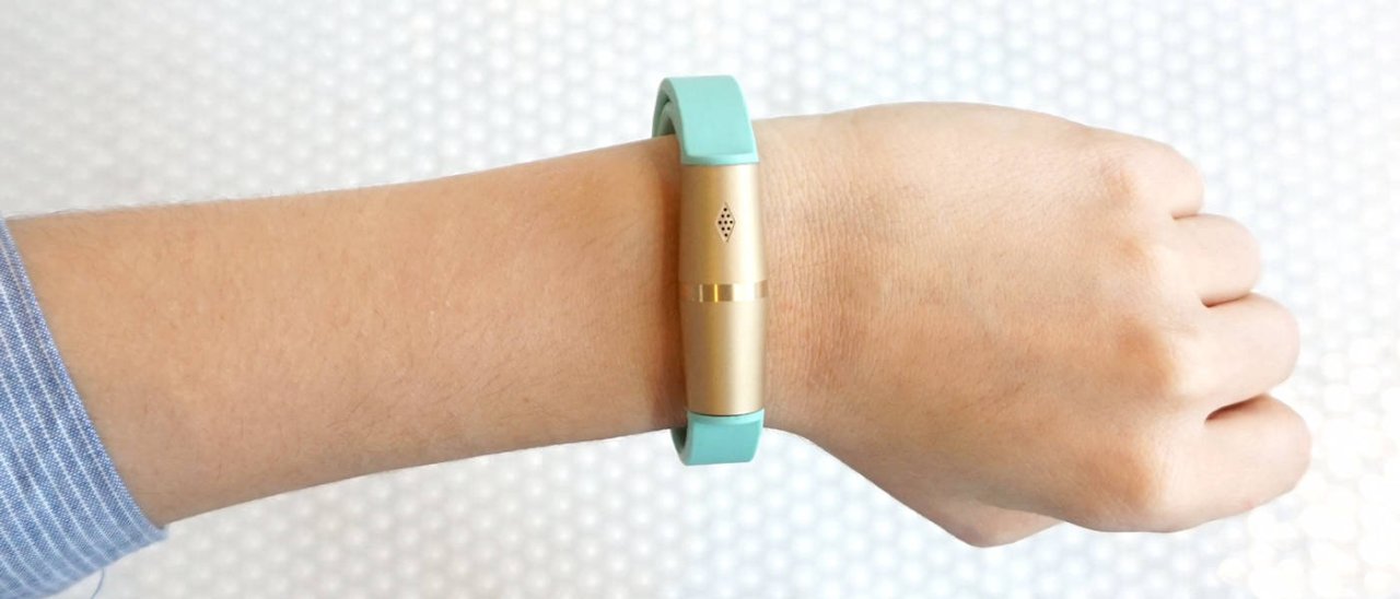 q motion fossil
