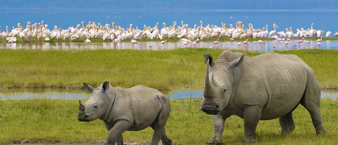 Sudafrica: il Kruger National Park su Street View