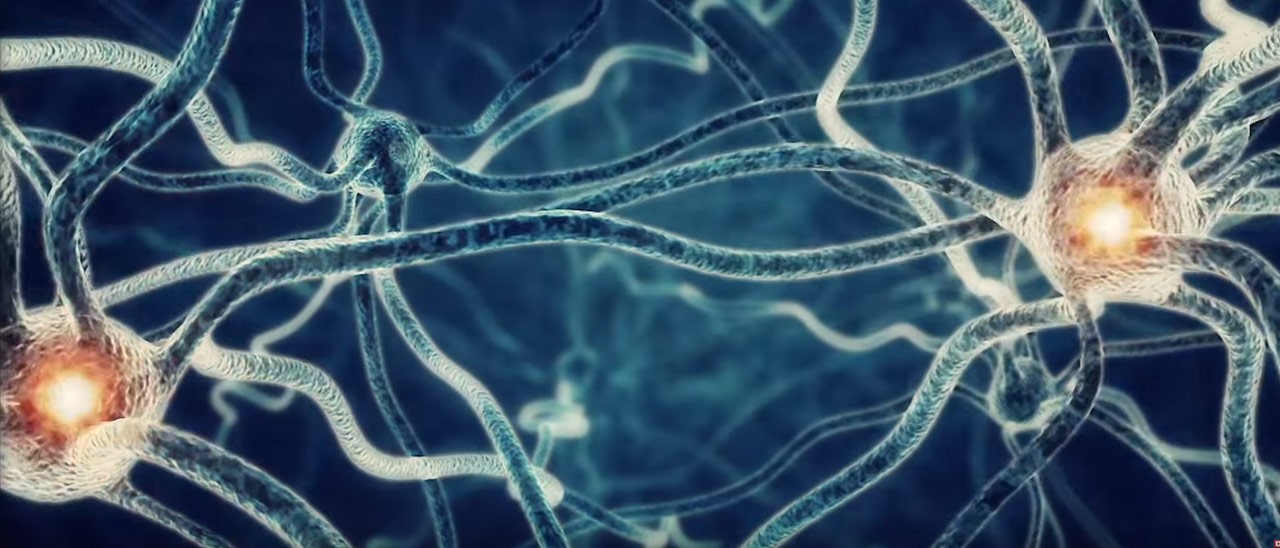 Verily e GSK insieme per la bioelettronica Verily e GSK insieme per la bioelettronica