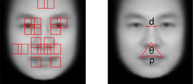 I tratti somatici presi in esame dal sistema di intelligenza artificiale