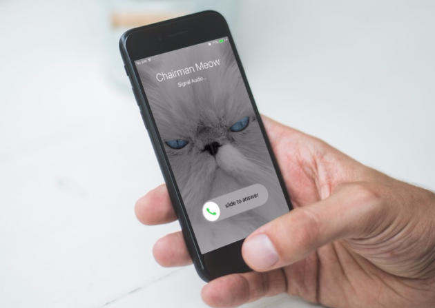 Signal per iOS - CallKit