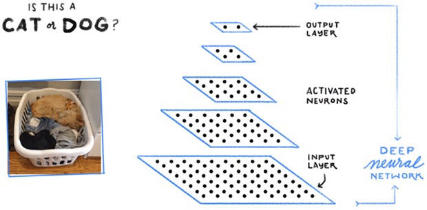 La struttura di una rete neurale