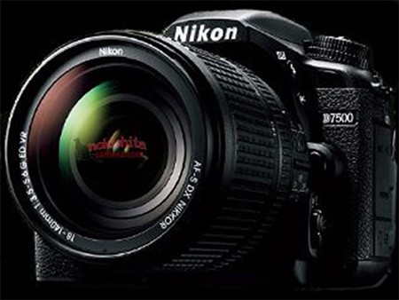 Prima immagine non ufficiale per Nikon D7500