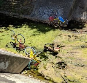 Alcune delle iconiche biciclette colorate di Google rinvenute nel letto del fiume Stevens Creek, vicino a al Whisman Park