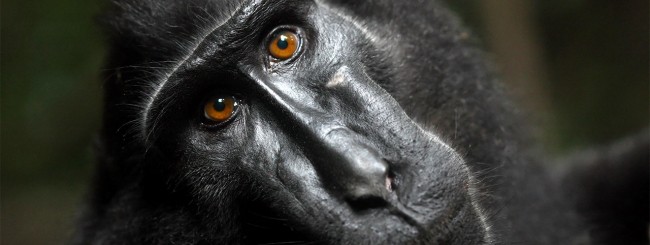 è max ancora datazione PETA mondo top dieci siti di incontri