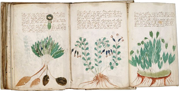 Il manoscritto Voynich, codice illustrato risalente al XV secolo