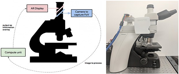 Il microscopio progettato dal team di Google, che sovrappone immagini in pieno stile AR a quanto osservato