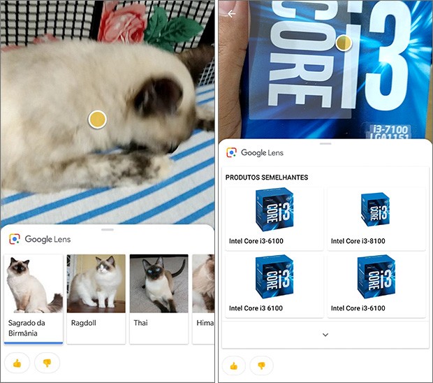 Screenshot per Google Lens, la funzionalità dell'Assistente Google in grado di osservare e interpretare il mondo che ci circonda per fornire informazioni coerenti con quanto inquadrato