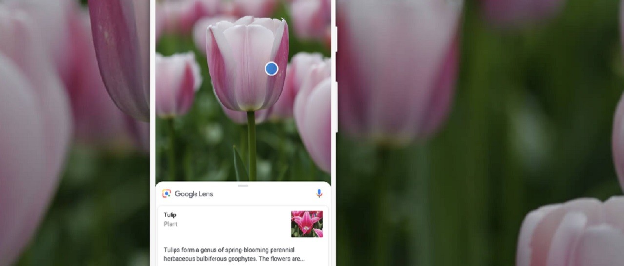 Google Lens analizzerà anche le vecchie foto