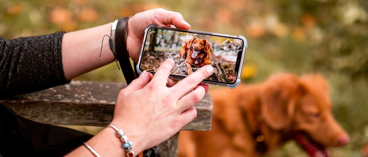 iOS 13 riconosce cani e gatti
