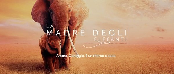 La Madre degli Elefanti