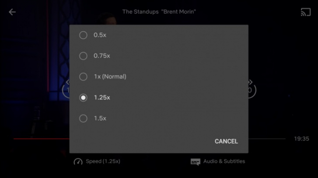 riproduzione netflix