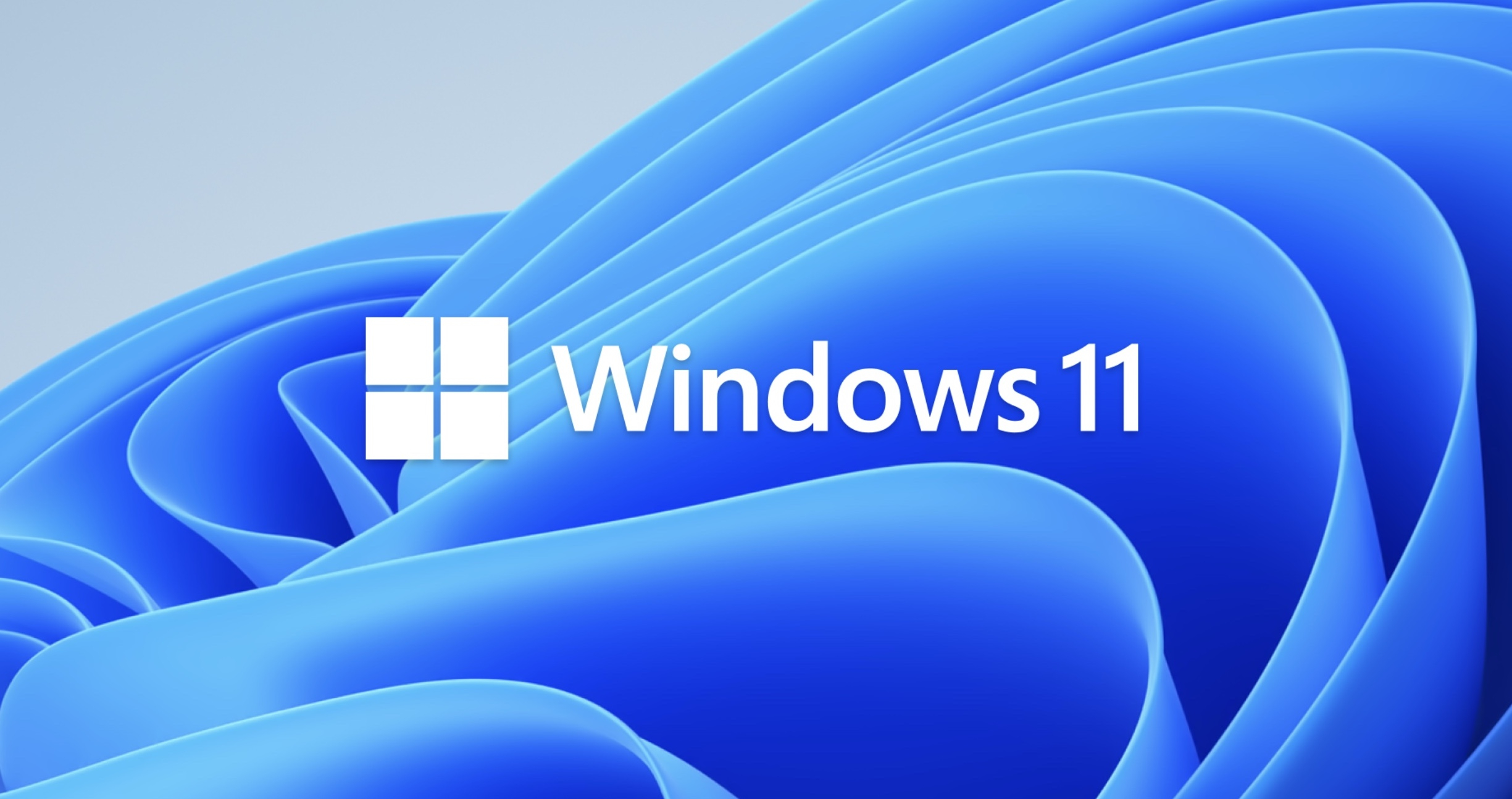 Windows 11 Logo Ufficiale