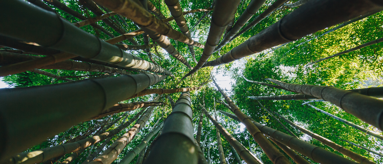 Climate Pledge Friendly, la rivoluzione ecologica passa anche da Amazon Climate Pledge Friendly, la rivoluzione ecologica passa anche da Amazon