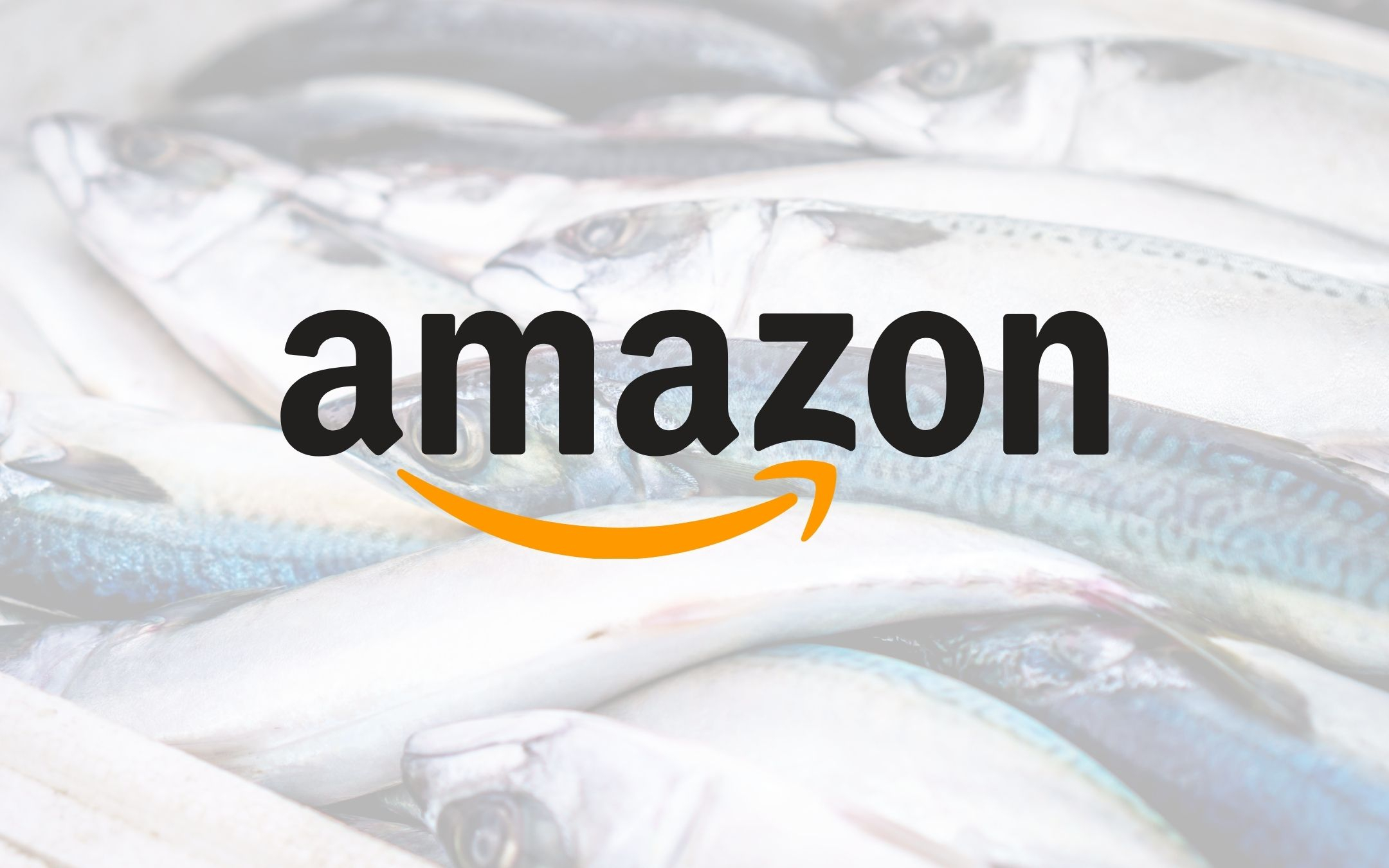 Questo è il vero pesce d'aprile di Amazon, sul serio