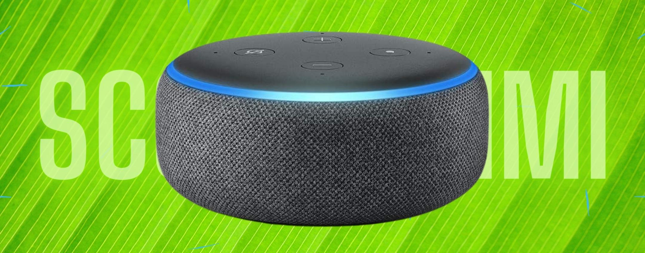 echo dot google