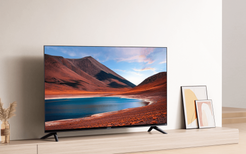 Xiaomi TV F2 da 43'' con Fire TV incluso scontatissima: prezzo da SVENDITA