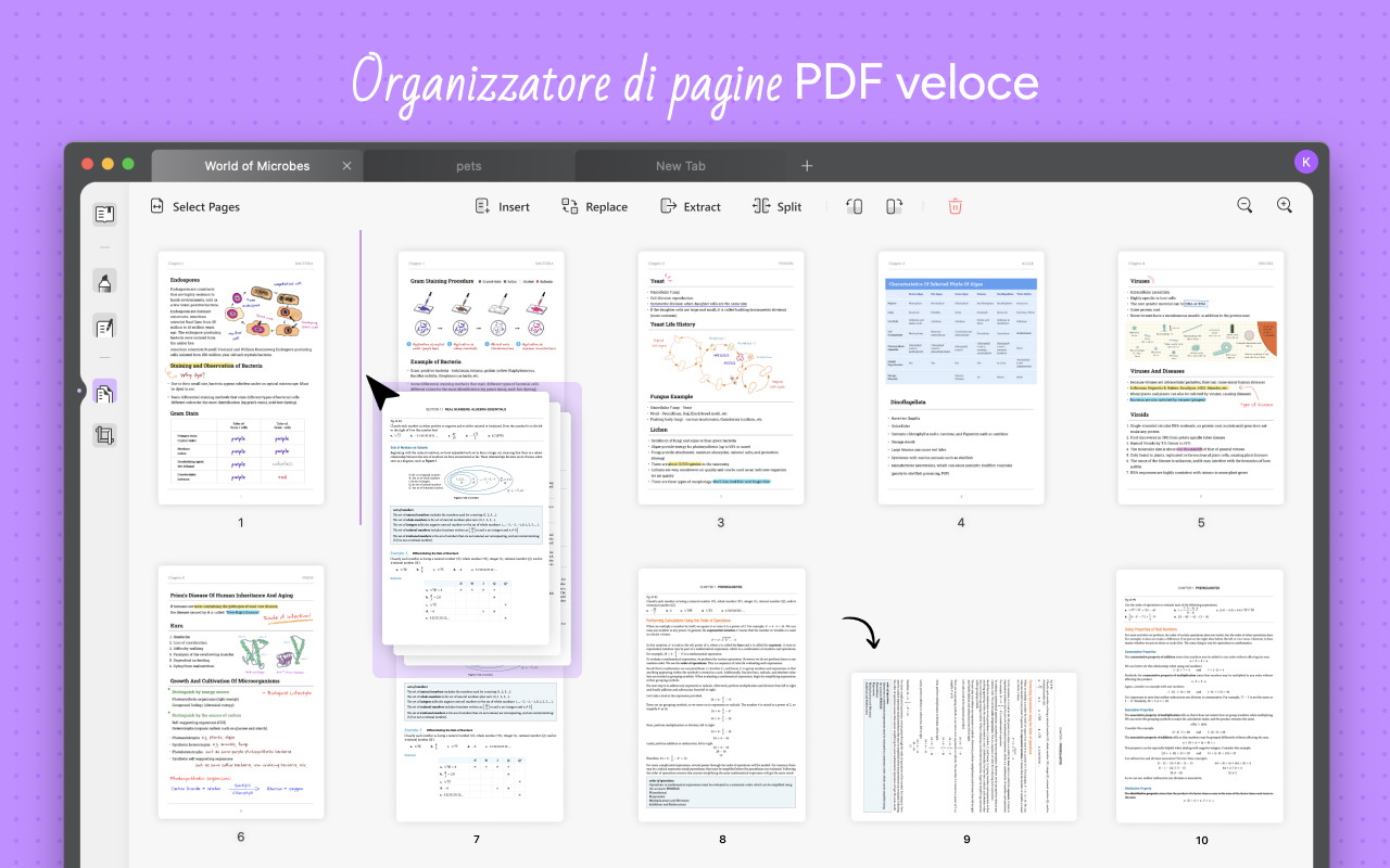 UPDF: Organizzare PDF