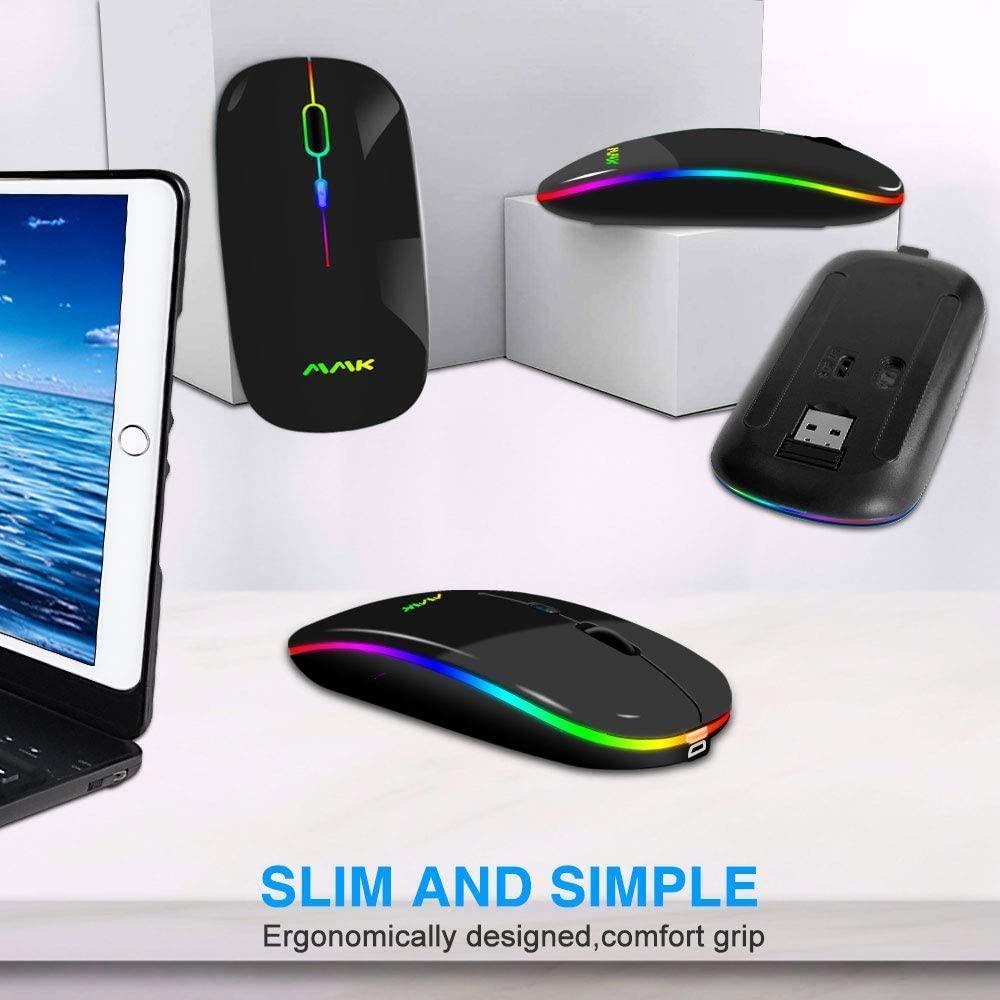 mouse