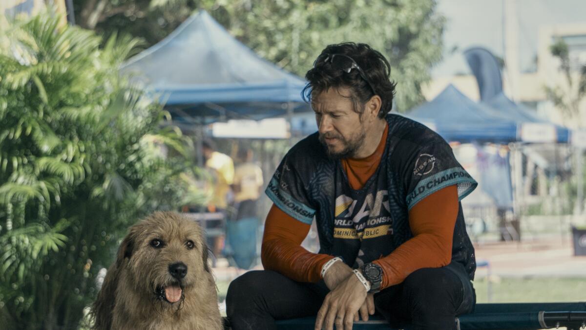 Prime Video, film e serie TV in uscita tra il 5 e l’11 agosto 2024 Prime Video, film e serie TV in uscita tra il 5 e l’11 agosto 2024