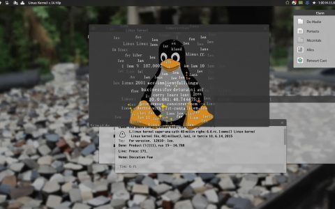 Linux kernel supera 40 milioni di righe con la versione 6.14 rc1