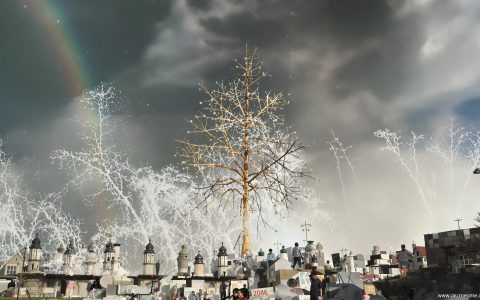 Giorni della Merla 2025: tradizione e leggende