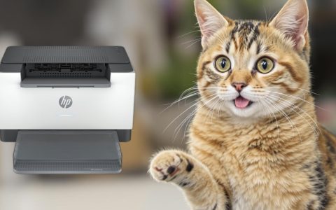 Stampante HP LaserJet M207dw: prestazioni top a un prezzo imbattibile