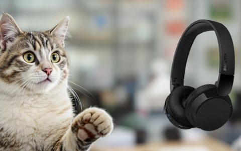 Non farti scappare queste cuffie Bluetooth Philips: qualità e comfort a soli 19,99 euro!