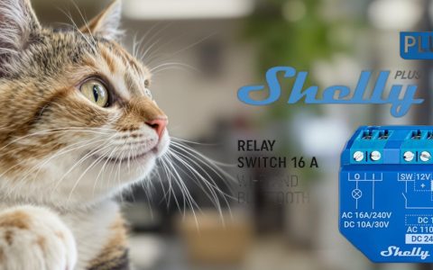 Shelly Plus 1 in offerta: domotica smart a meno di 15 euro