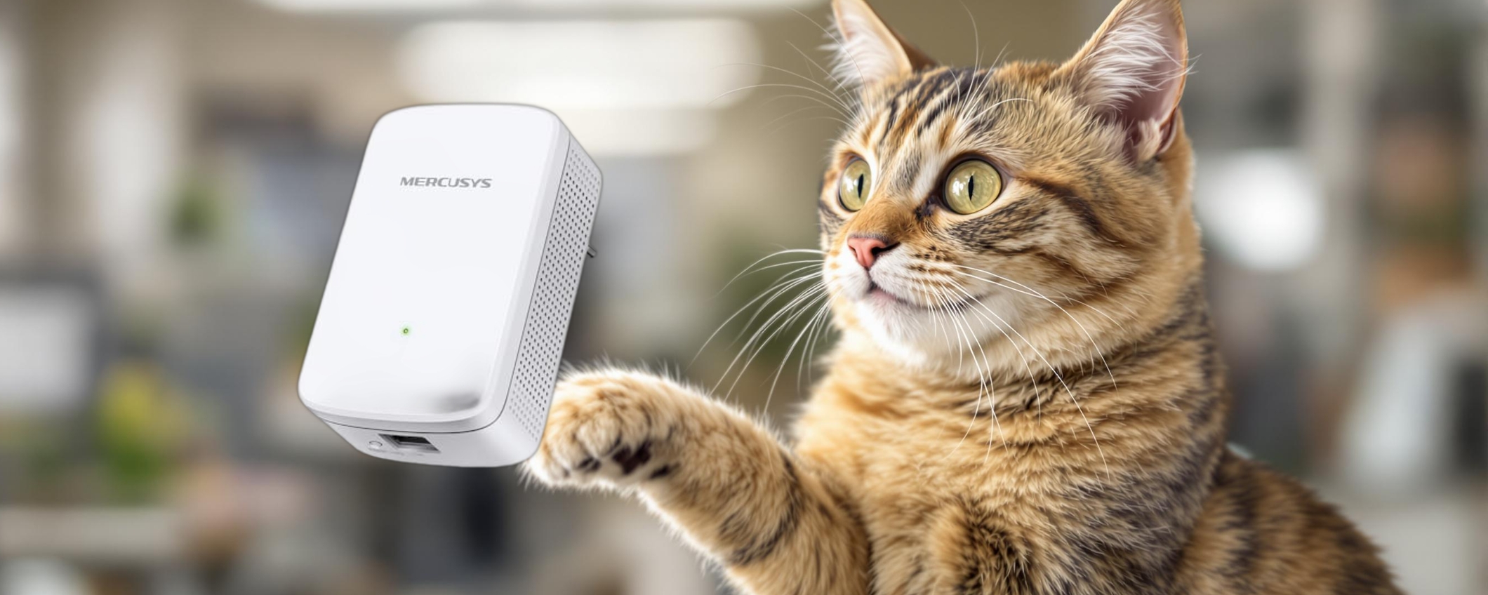 Migliora la tua connessione Wi-Fi con meno di 9 euro: scopri l'offerta Migliora la tua connessione Wi-Fi con meno di 9 euro: scopri l'offerta