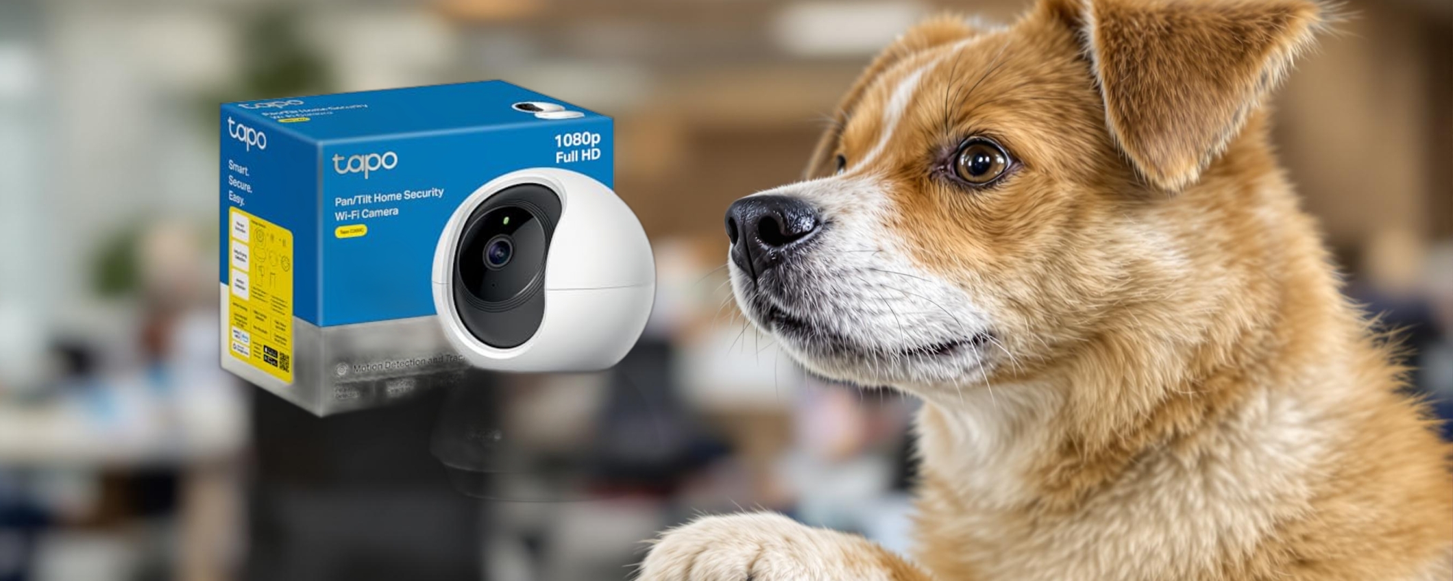 Proteggi la tua casa con la videocamera Tapo C200C: è imperdibile a questo prezzo