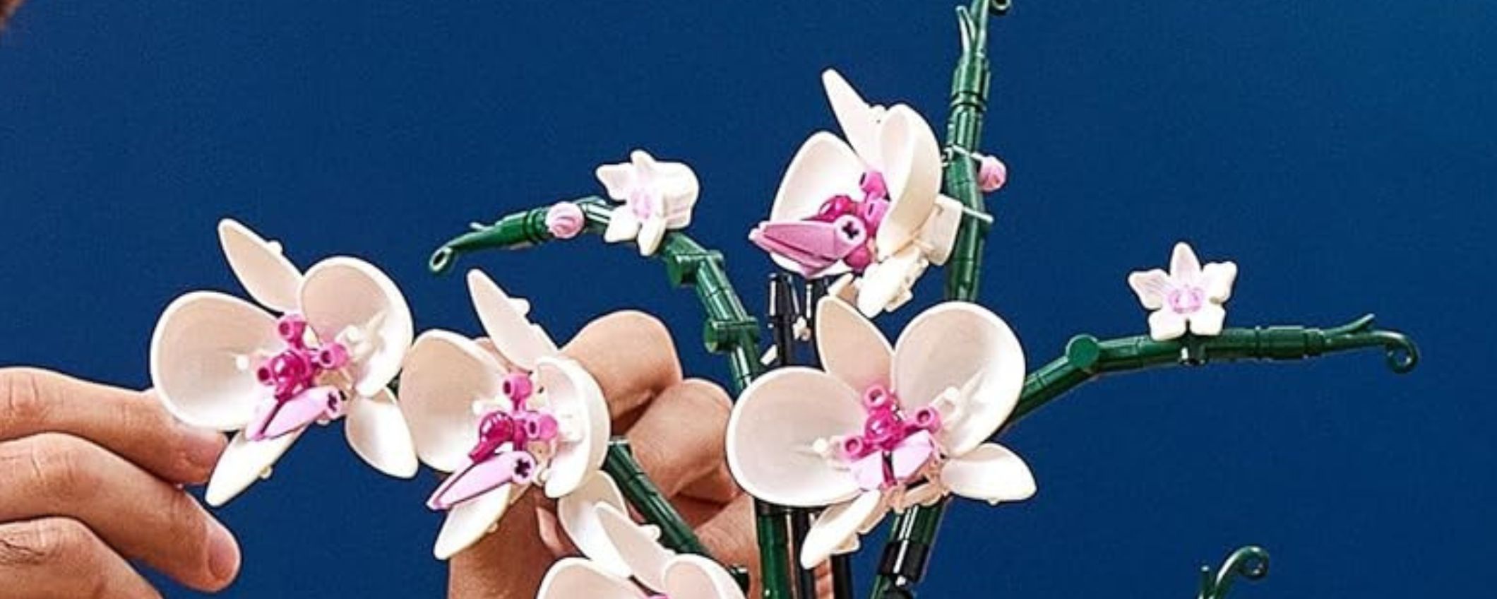 LEGO Orchidea: eleganza e creatività a portata di mano LEGO Orchidea: eleganza e creatività a portata di mano