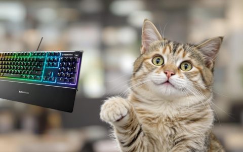 Porta il tuo gaming al livello successivo con la Tastiera SteelSeries Apex 3 in offerta