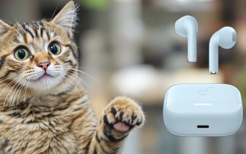 Solo 18€ per gli Auricolari Soundcore Anker con doppio microfono (-37%)