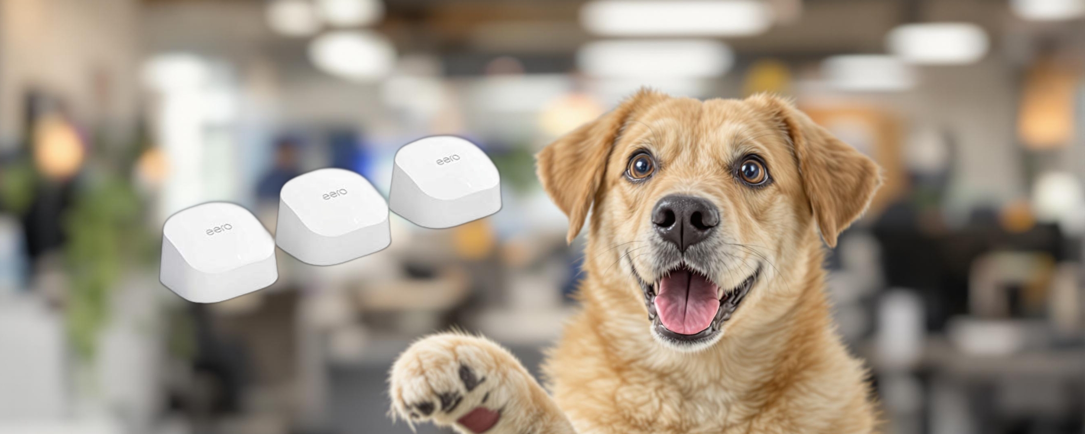 Amazon eero 6: connessione stabile e ampia copertura in offerta Amazon eero 6: connessione stabile e ampia copertura in offerta