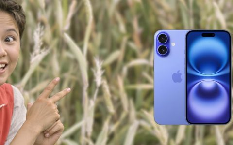 Offerta iPhone 16: oggi costa pochissimo su Amazon, compralo adesso