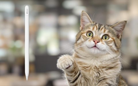 Utilizza al meglio il tuo iPad con l'Apple Pencil USB-C a mini prezzo su Amazon