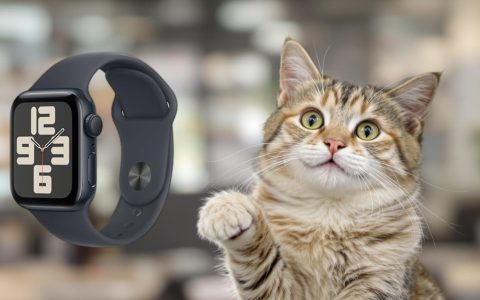Apple Watch SE: lo smartwatch più richiesto in svendita su Amazon