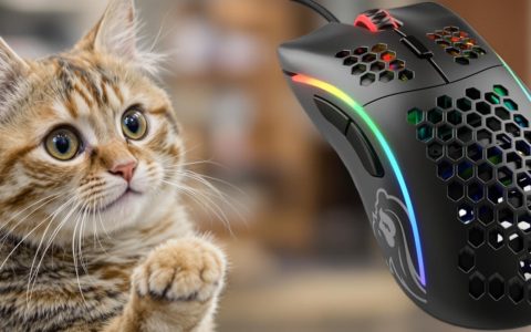 Porta il tuo gaming al livello successivo con il Mouse Glorious a meno di 40€