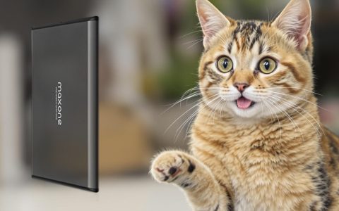 500GB di spazio in più con l'Hard Disk esterno a quasi metà prezzo (-48%)