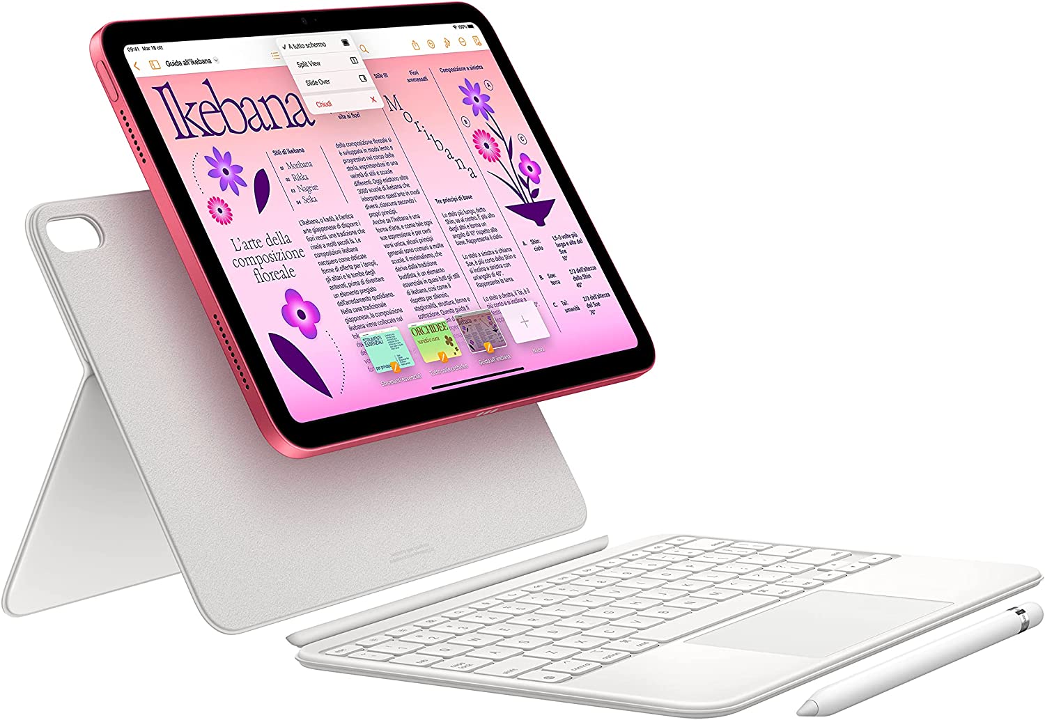iPad 10a Gen - Rosa
