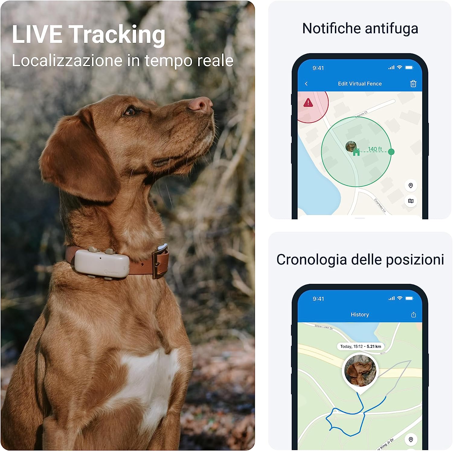 Localizzatore GPS per cani: VACANZE NO STRESS a soli 34€ su  -  Melablog